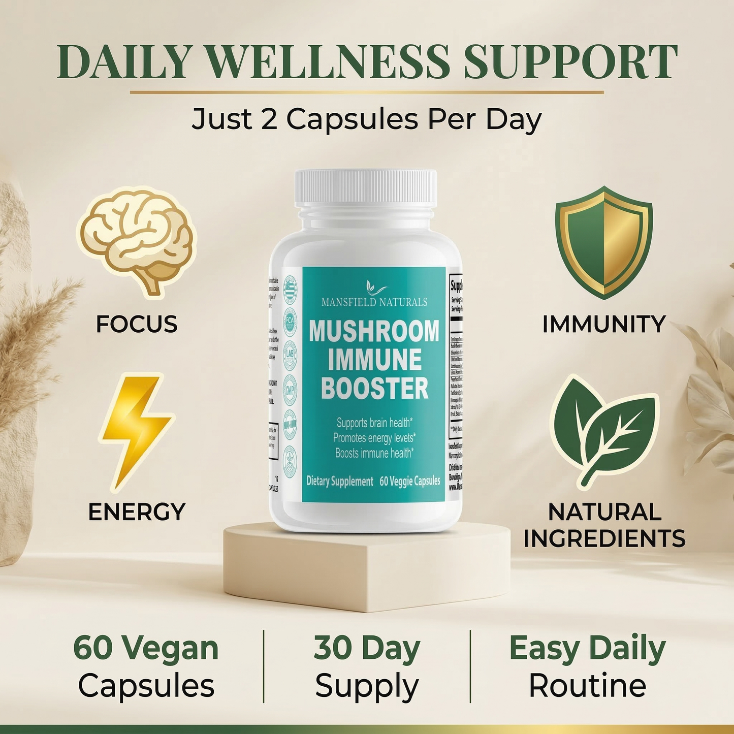 Mushroom Immune Booster - 10-in-1 Mushroom Complex with Chaga, Cordyceps, Reishi & Lion's Mane for Energy, Focus & Defense - 2500mg Equivalent - 60 Vegan Capsules