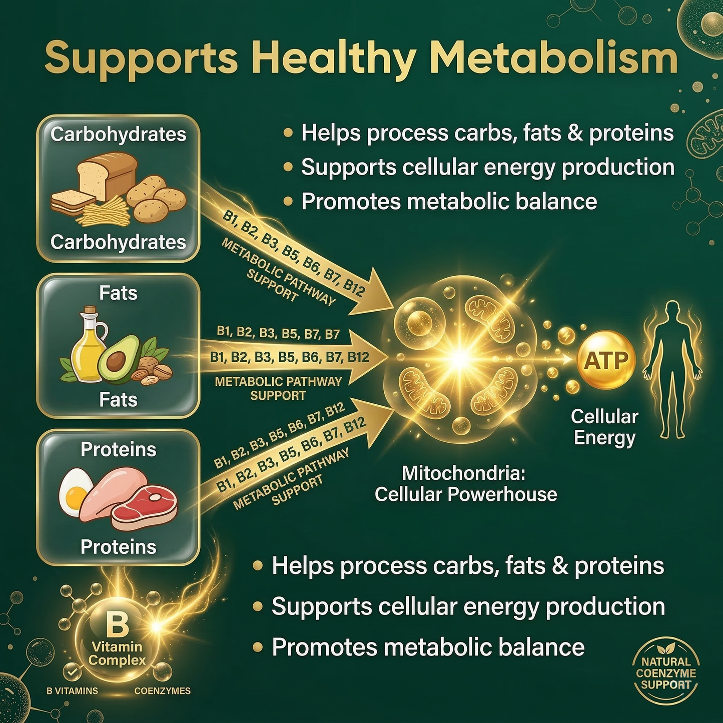 Vitamin B Complex - High Potency Methylated B-Vitamins with Methyl B12 & Folate - Supports Energy, Metabolism & Brain Health - Non-GMO, 60 Capsules