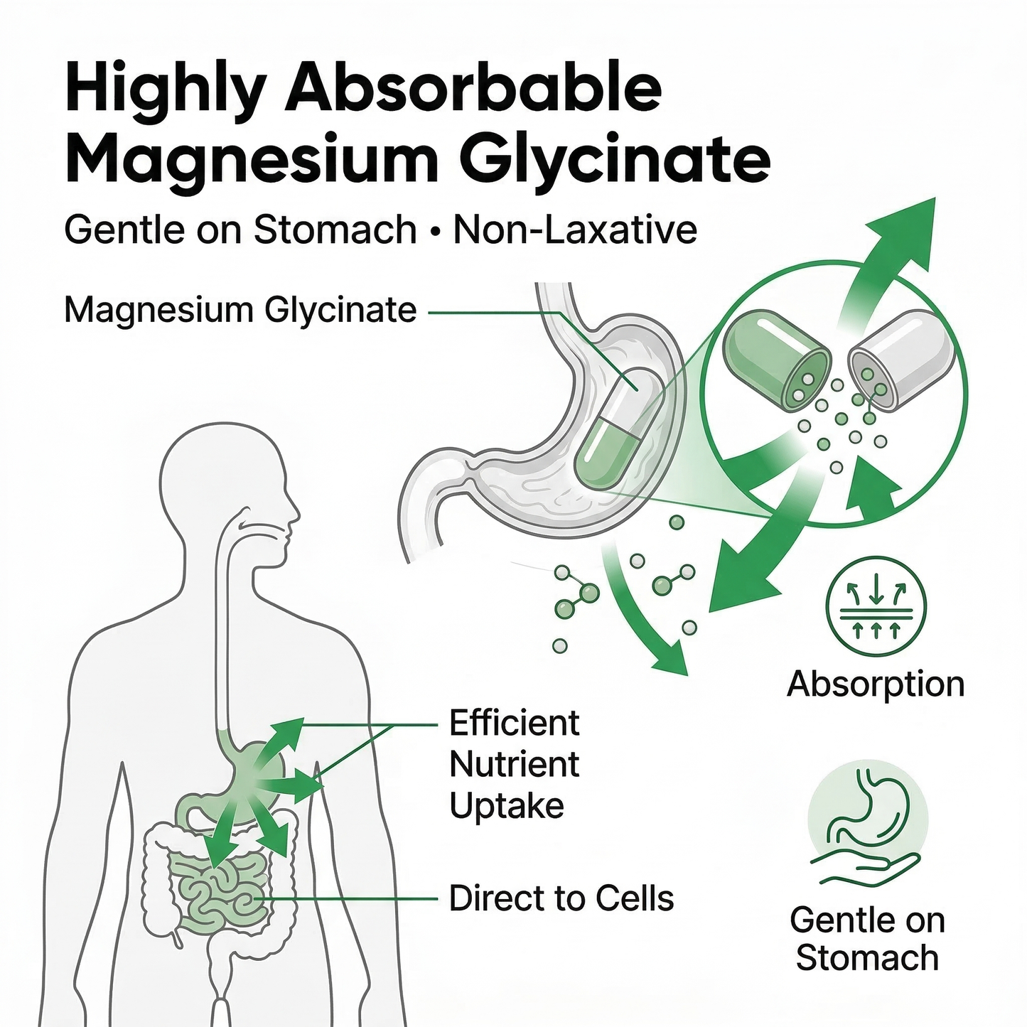 Magnesium Glycinate Supplement - Gentle on Stomach - Supports Nerve, Muscle & Sleep Health - Capsules - 250 mg - 60 Count