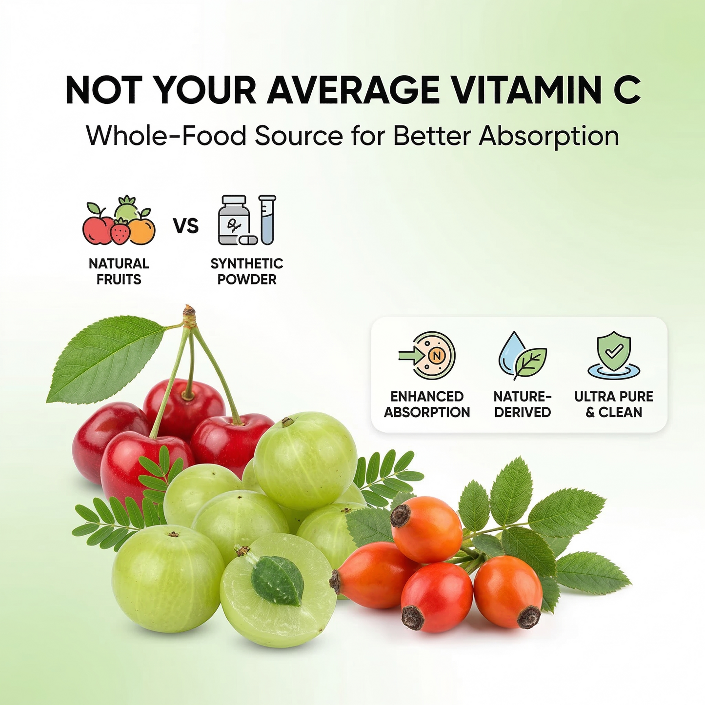 Plant Source Vitamin C - Whole Food Vitamin C Supplement with Acerola Cherry & Rose Hips - Immune Support & Antioxidant Complex - Vegan, Non-GMO - 60 Vegetable Capsules