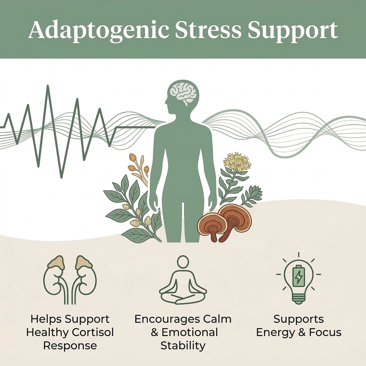 Ashwagandha Gummies with Ashwagandha Root Extract 60 Count Natural Stress Relief & Mood Support Vegan, Non-GMO, Gluten Free Herbal Supplement Pack of 1