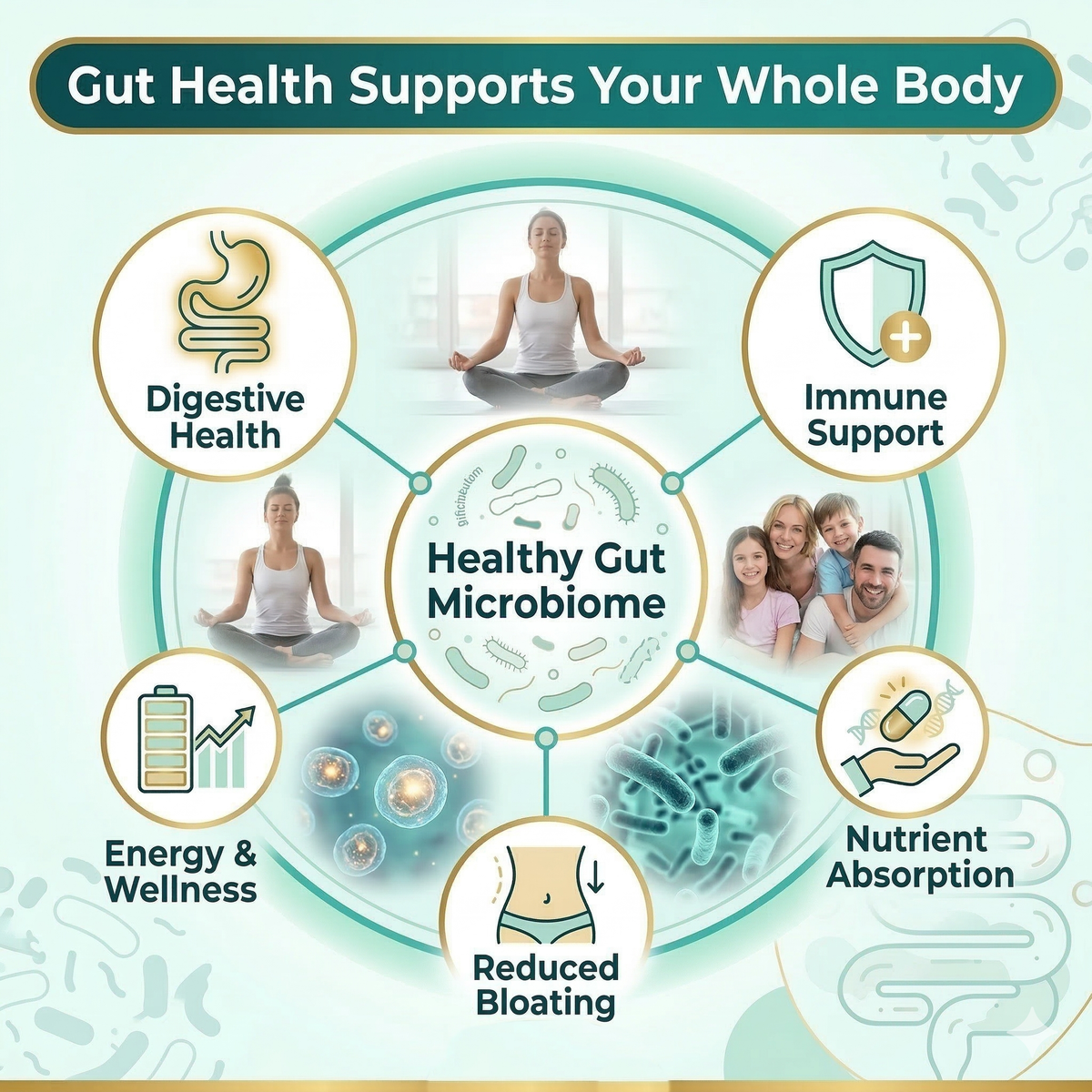 Probiotic Supplement – 40 Billion CFU – Gut Health & Immune Support – Shelf Stable – 60 Capsules